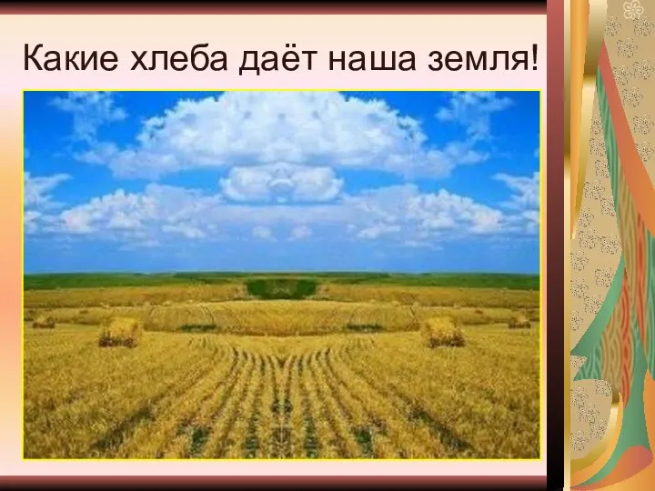 Какие хлеба даёт наша земля!