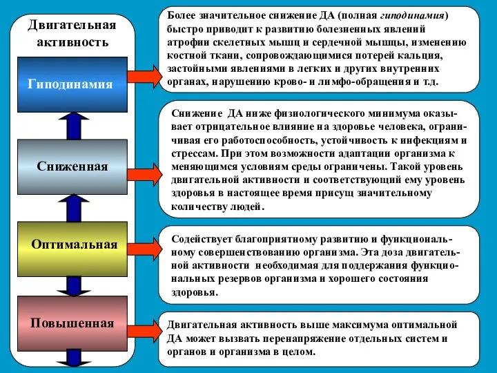 Оптимальная Сниженная Гиподинамия Повышенная Снижение ДА ниже физиологического минимума оказы-вает отрицательное