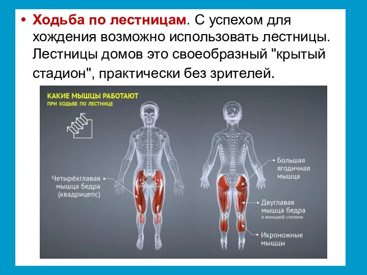 Ходьба по лестницам. С успехом для хождения возможно использовать лестницы. Лестницы