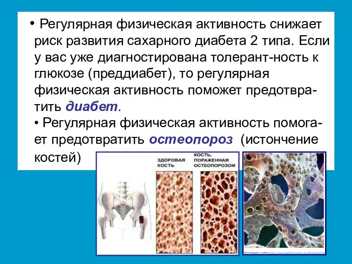 • Регулярная физическая активность снижает риск развития сахарного диабета 2 типа.