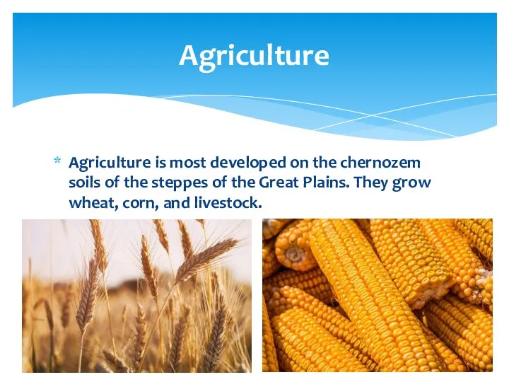 Agriculture is most developed on the chernozem soils of the steppes