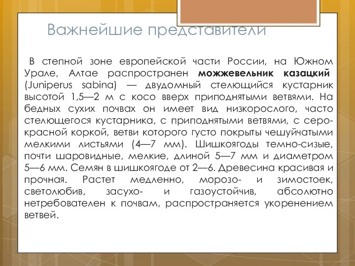 Важнейшие представители В степной зоне европейской части России, на Южном Урале,