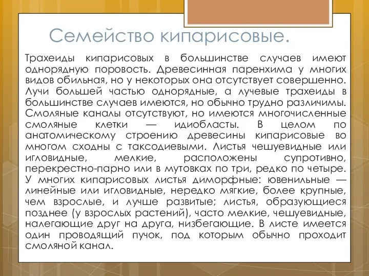 Семейство кипарисовые. Трахеиды кипарисовых в большинстве случаев имеют однорядную поровость. Древесинная