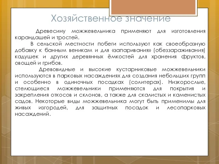 Хозяйственное значение Древесину можжевельника применяют для изготовления карандашей и тростей. В