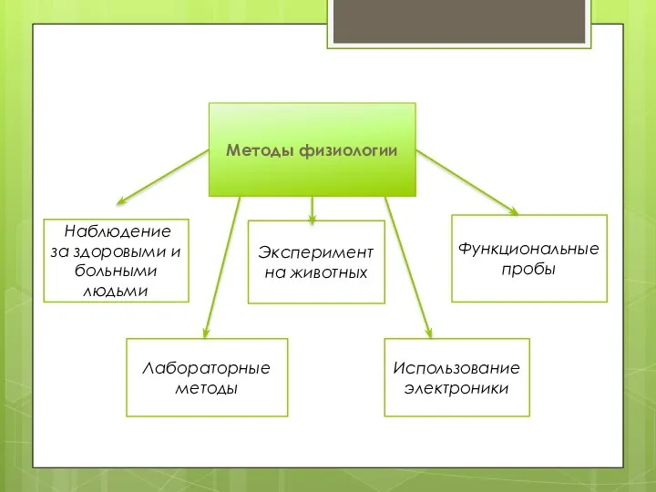 Методы физиологии Наблюдение за здоровыми и больными людьми Лабораторные методы Эксперимент