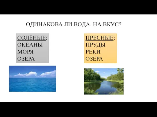 ОДИНАКОВА ЛИ ВОДА НА ВКУС? СОЛЁНЫЕ: ОКЕАНЫ МОРЯ ОЗЁРА ПРЕСНЫЕ: ПРУДЫ РЕКИ ОЗЁРА