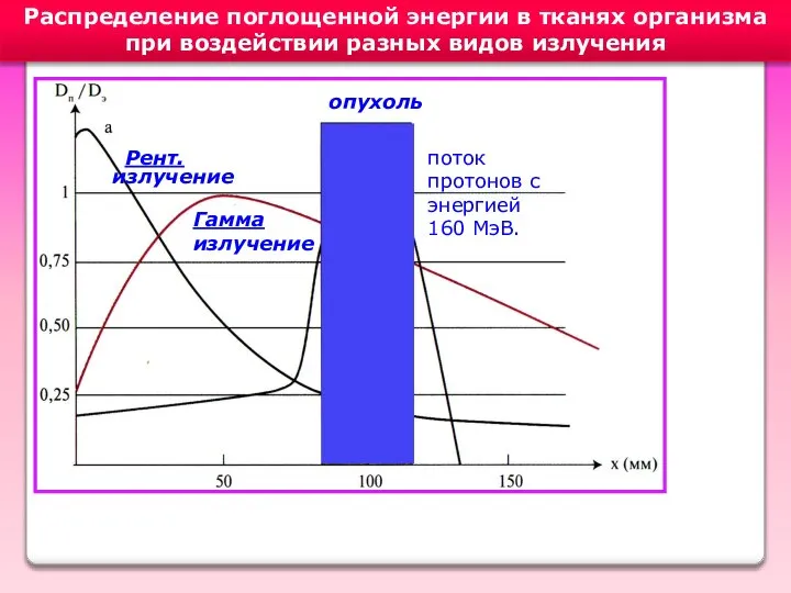 Распределение поглощенной энергии в тканях организма при воздействии разных видов излучения