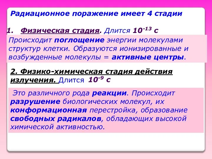 Радиационное поражение имеет 4 стадии Физическая стадия. Длится 10-13 с Происходит