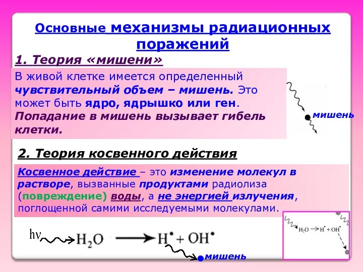 Основные механизмы радиационных поражений 1. Теория «мишени» В живой клетке имеется