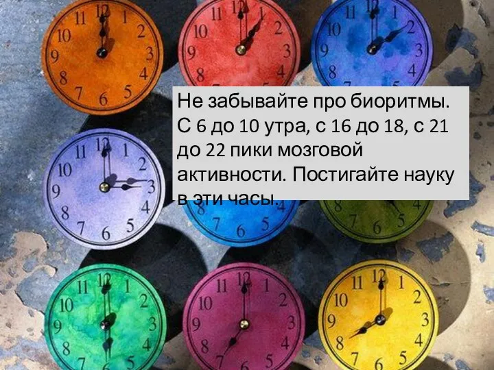 Не забывайте про биоритмы. С 6 до 10 утра, с 16