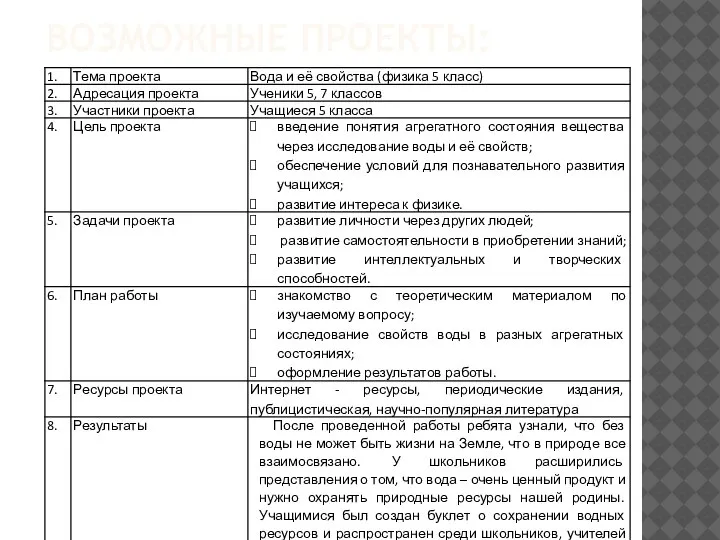 ВОЗМОЖНЫЕ ПРОЕКТЫ: