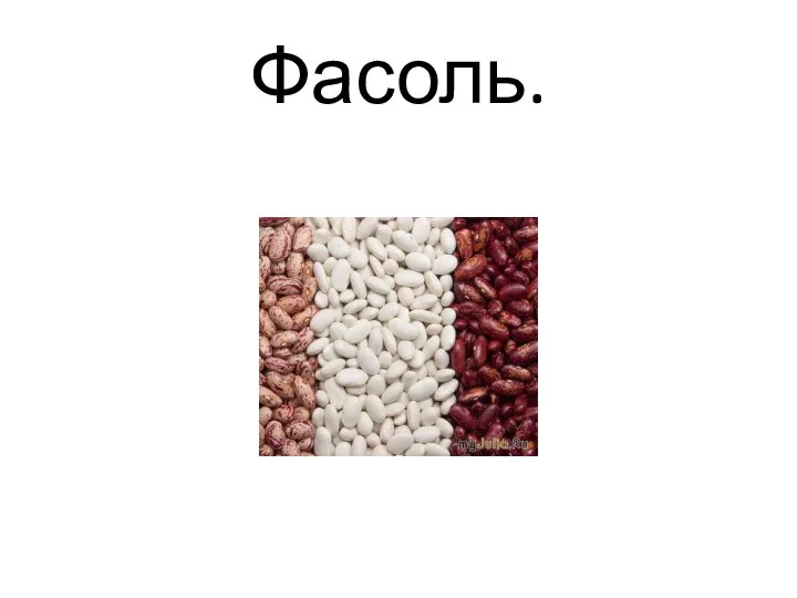 Фасоль.