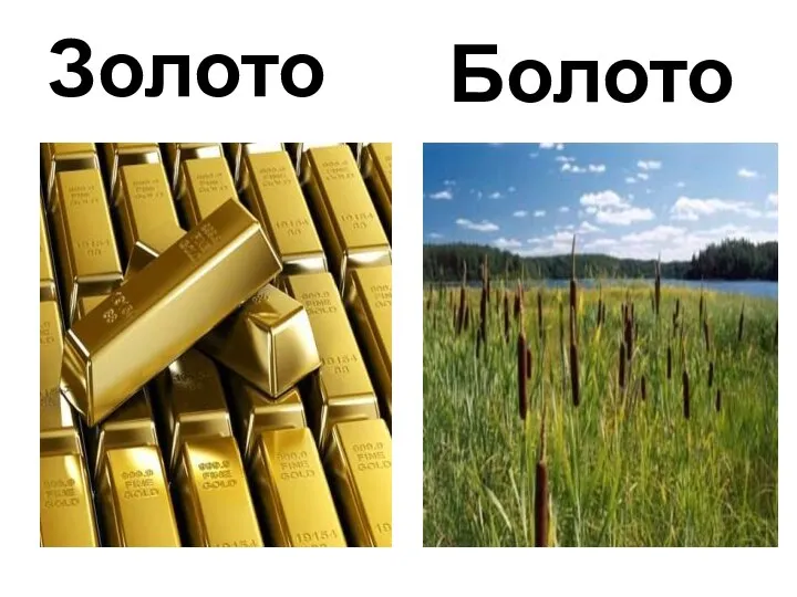 Золото Болото