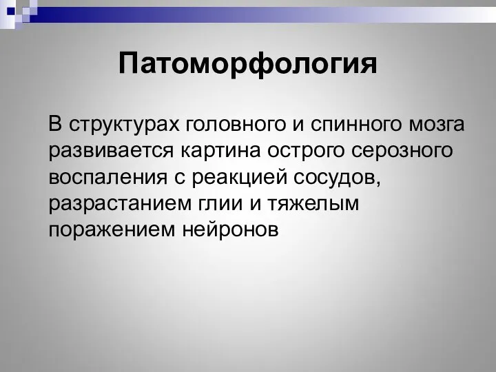 Патоморфология В структурах головного и спинного мозга развивается картина острого серозного