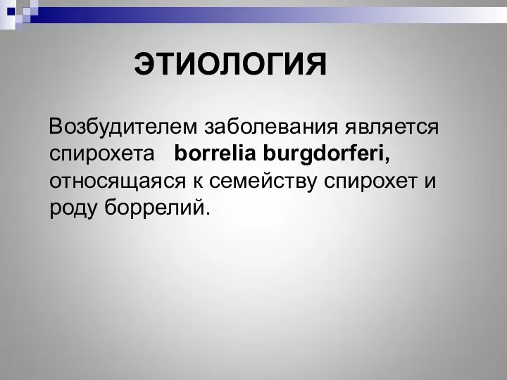 ЭТИОЛОГИЯ Возбудителем заболевания является спирохета borrelia burgdorferi, относящаяся к семейству спирохет и роду боррелий.