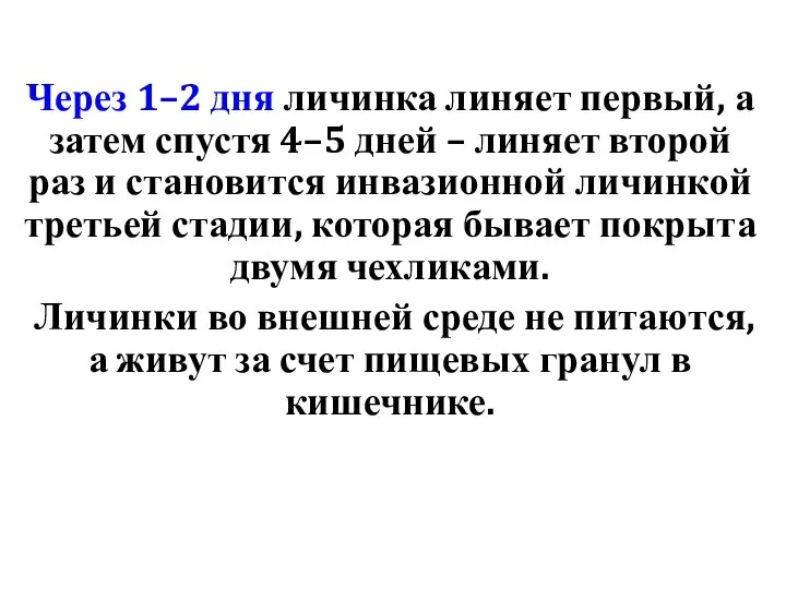 Через 1–2 дня личинка линяет первый, а затем спустя 4–5 дней