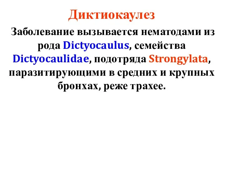 Диктиокаулез Заболевание вызывается нематодами из рода Dictyocaulus, семейства Dictyocaulidae, подотряда Strongylata,