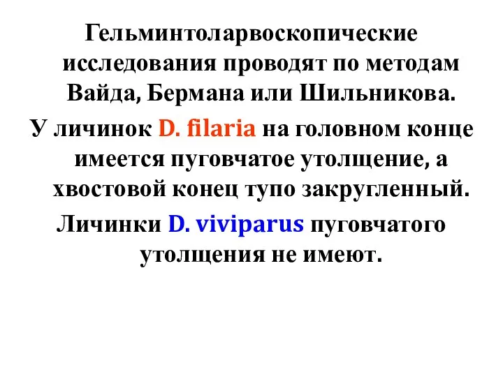 Гельминтоларвоскопические исследования проводят по методам Вайда, Бермана или Шильникова. У личинок