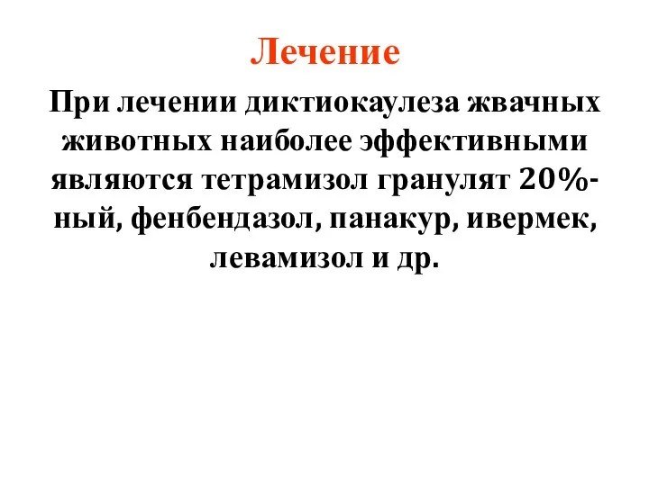 Лечение При лечении диктиокаулеза жвачных животных наиболее эффективными являются тетрамизол гранулят