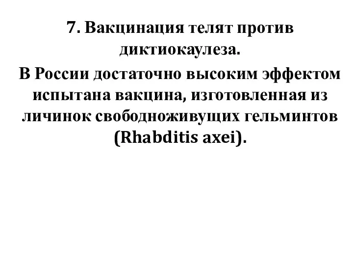 7. Вакцинация телят против диктиокаулеза. В России достаточно высоким эффектом испытана