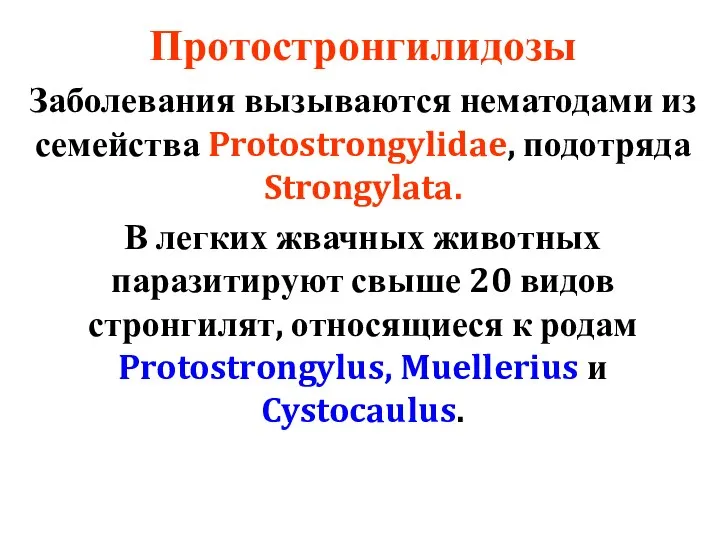 Протостронгилидозы Заболевания вызываются нематодами из семейства Protostrongylidae, подотряда Strongylata. В легких