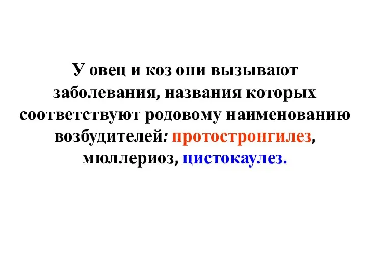 У овец и коз они вызывают заболевания, названия которых соответствуют родовому наименованию возбудителей: протостронгилез, мюллериоз, цистокаулез.