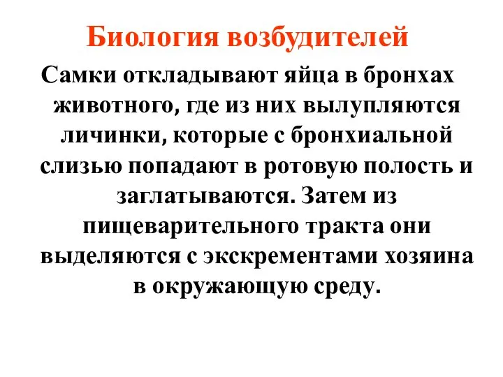 Биология возбудителей Самки откладывают яйца в бронхах животного, где из них