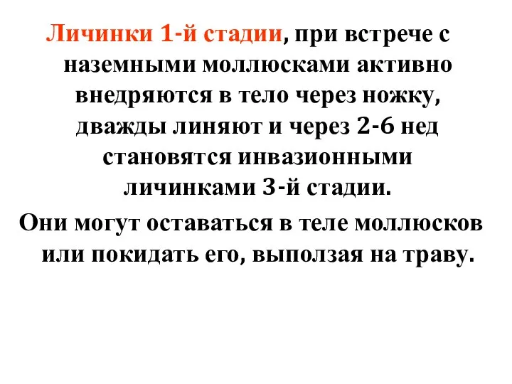 Личинки 1-й стадии, при встрече с наземными моллюсками активно внедряются в