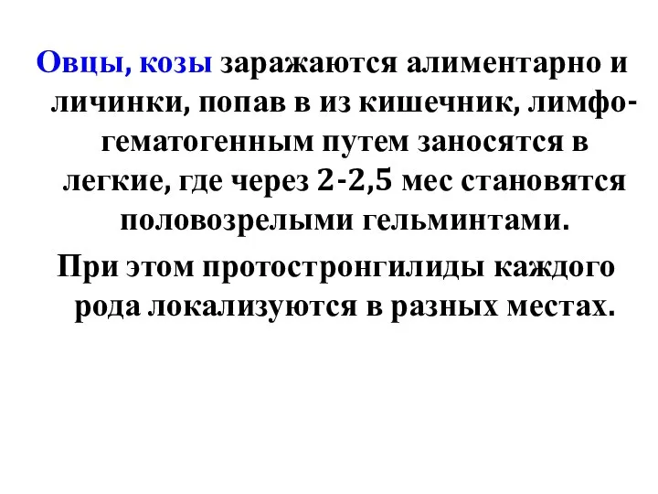 Овцы, козы заражаются алиментарно и личинки, попав в из кишечник, лимфо-гематогенным