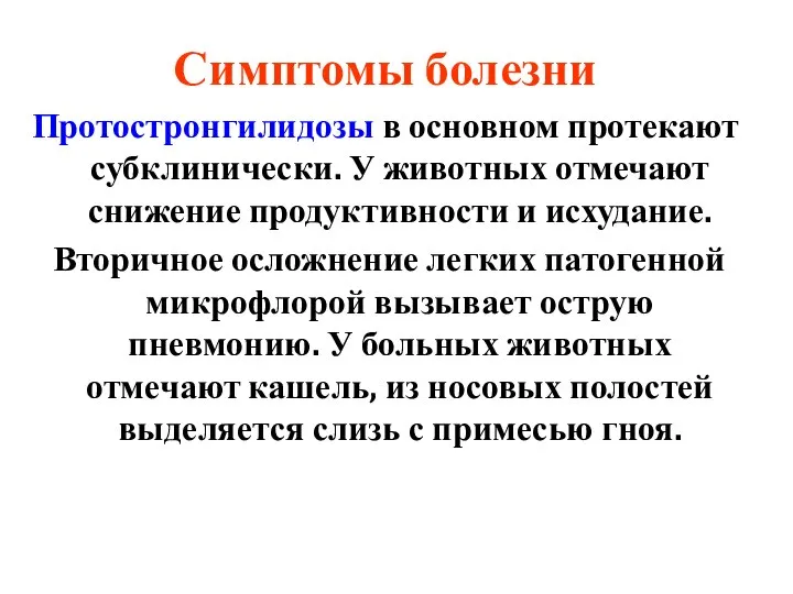 Симптомы болезни Протостронгилидозы в основном протекают субклинически. У животных отмечают снижение