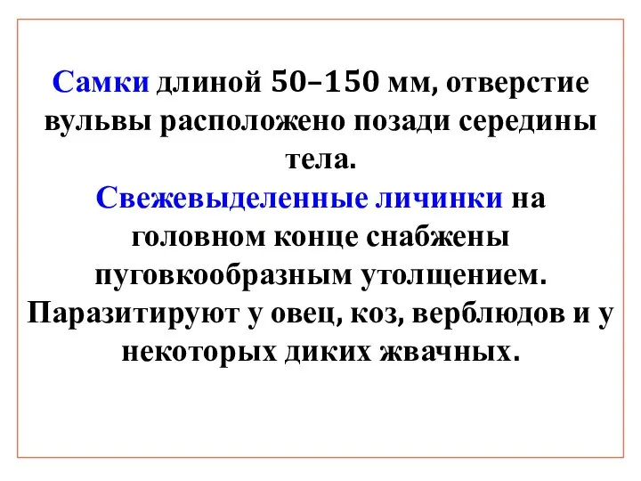 Самки длиной 50–150 мм, отверстие вульвы расположено позади середины тела. Свежевыделенные