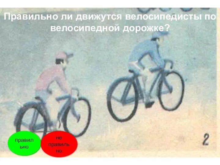 правильно не правильно Правильно ли движутся велосипедисты по велосипедной дорожке?