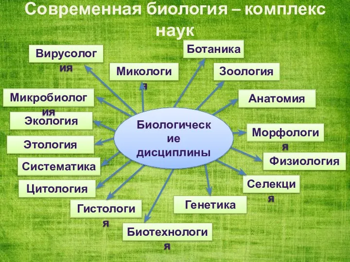 Современная биология – комплекс наук Биологические дисциплины