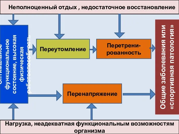 Оптимальное функциональное состояние, высокая физическая работоспособность Общие заболевания или «спортивная патология»