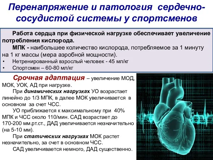 Перенапряжение и патология сердечно-сосудистой системы у спортсменов Работа сердца при физической