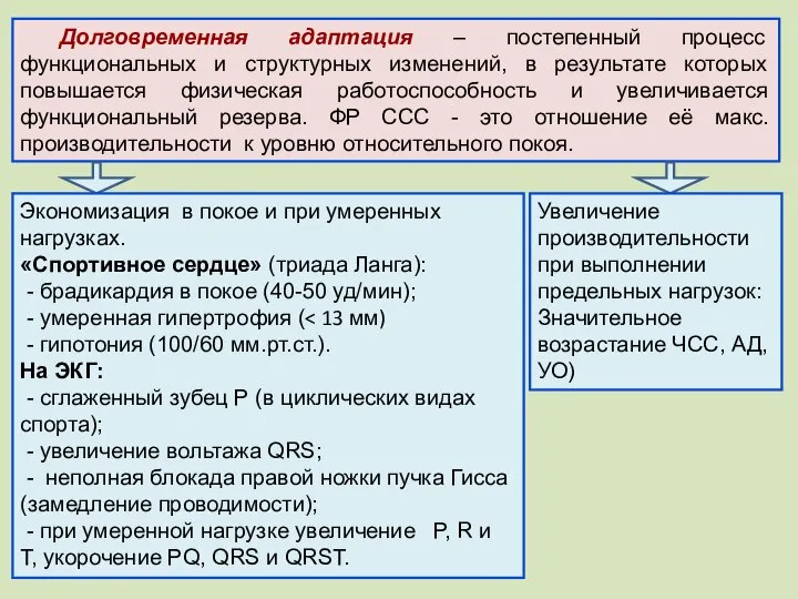 Долговременная адаптация – постепенный процесс функциональных и структурных изменений, в результате