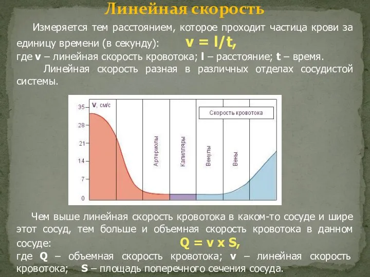 Линейная скорость Измеряется тем расстоянием, которое проходит частица крови за единицу