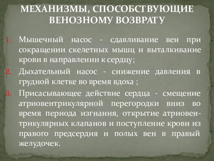 Мышечный насос - сдавливание вен при сокращении скелетных мышц и выталкивание