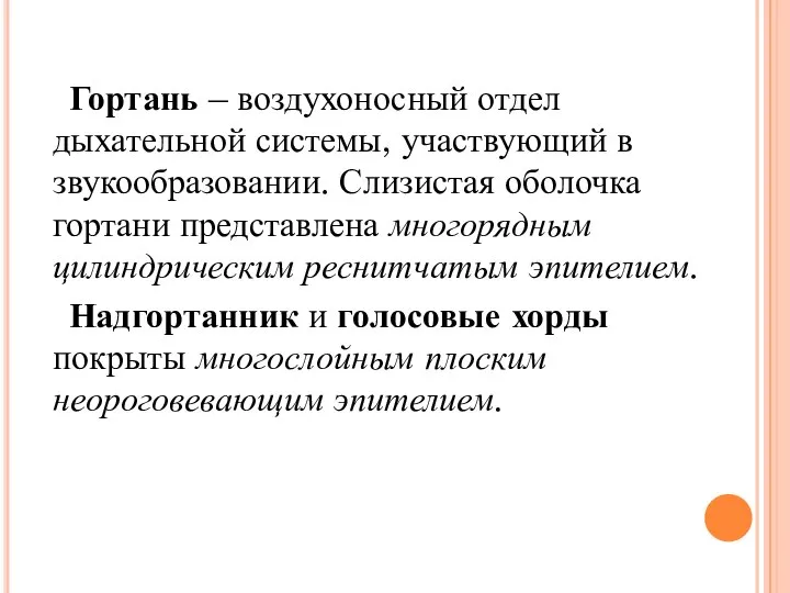 Гортань – воздухоносный отдел дыхательной системы, участвующий в звукообразовании. Слизистая оболочка