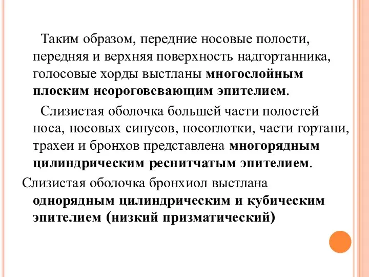 Таким образом, передние носовые полости, передняя и верхняя поверхность надгортанника, голосовые