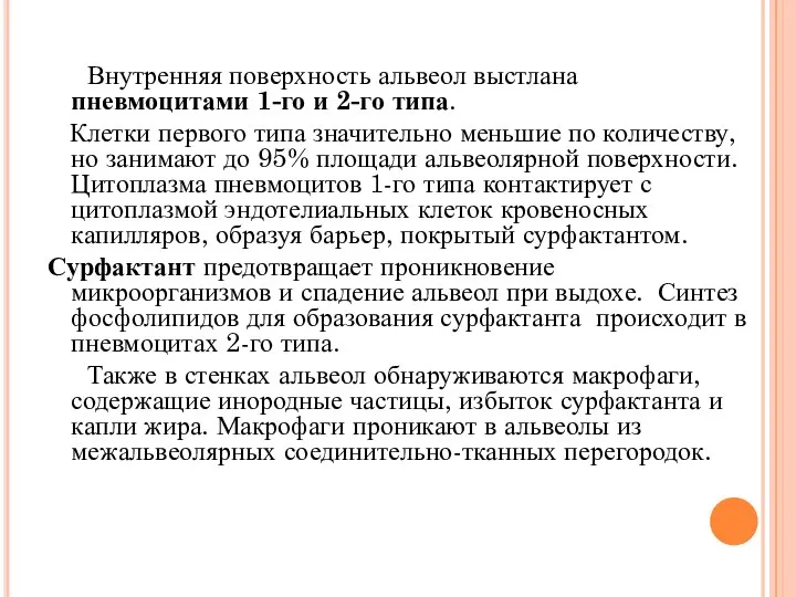 Внутренняя поверхность альвеол выстлана пневмоцитами 1-го и 2-го типа. Клетки первого