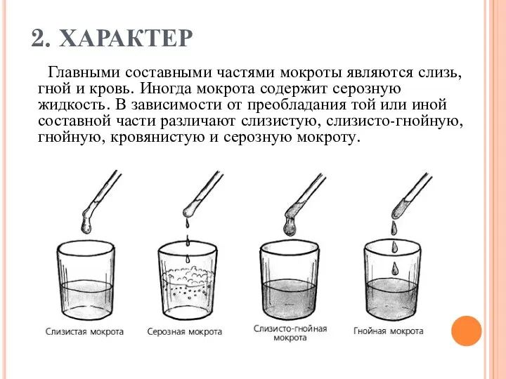 2. ХАРАКТЕР Главными составными частями мокроты являются слизь, гной и кровь.