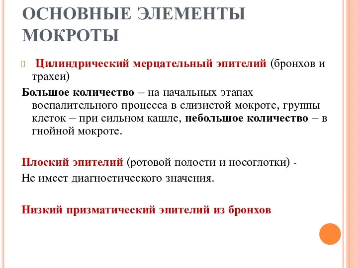 ОСНОВНЫЕ ЭЛЕМЕНТЫ МОКРОТЫ Цилиндрический мерцательный эпителий (бронхов и трахеи) Большое количество