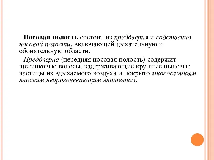 Носовая полость состоит из преддверия и собственно носовой полости, включающей дыхательную