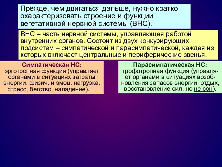 Прежде, чем двигаться дальше, нужно кратко охарактеризовать строение и функции вегетативной