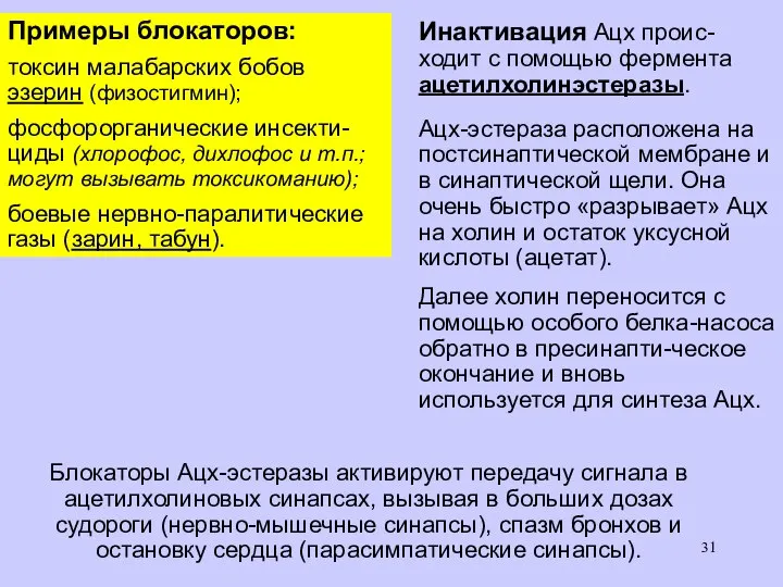 Инактивация Ацх проис- ходит с помощью фермента ацетилхолинэстеразы. Ацх-эстераза расположена на