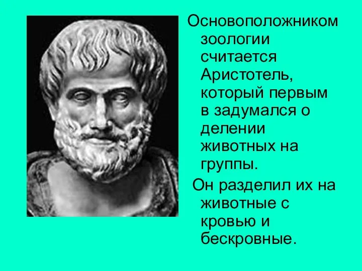 Основоположником зоологии считается Аристотель, который первым в задумался о делении животных