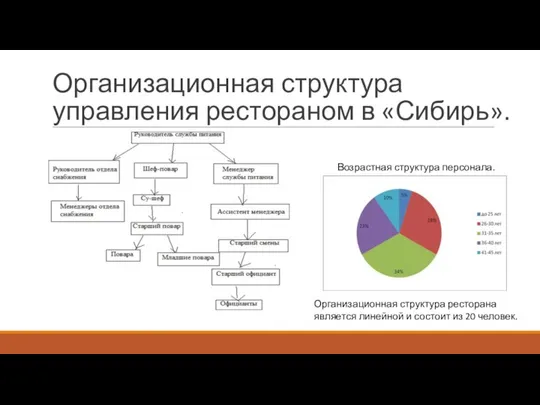 Организационная структура управления рестораном в «Сибирь». Возрастная структура персонала. Организационная структура