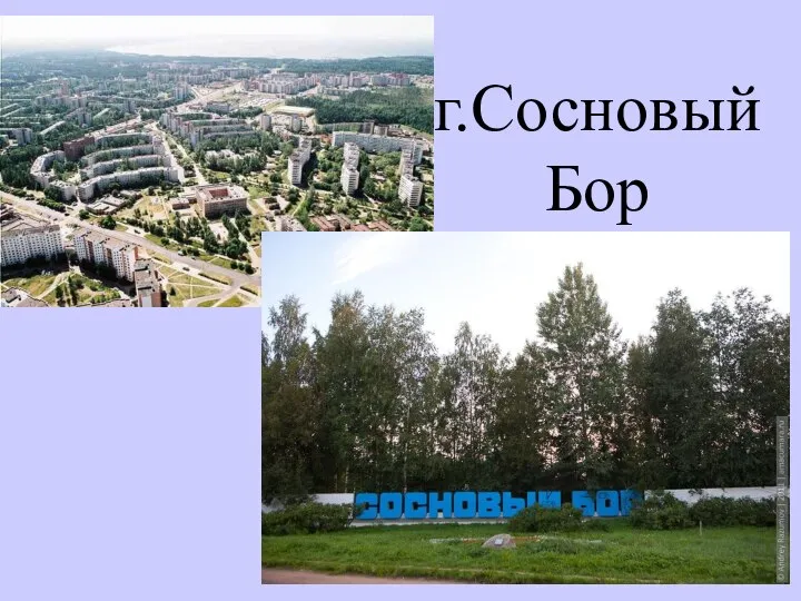 г.Сосновый Бор