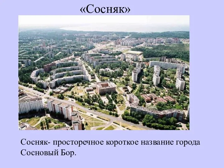 «Сосняк» Сосняк- просторечное короткое название города Сосновый Бор.